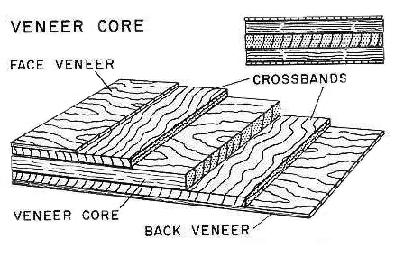 veneercore.png