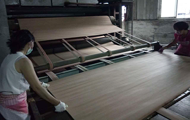 1513863110220481.png veneer drying.png